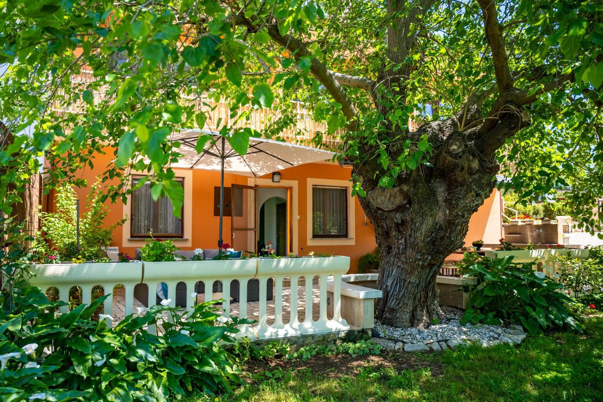 E-M Apartments With Private Pool Vinkuran Exterior photo