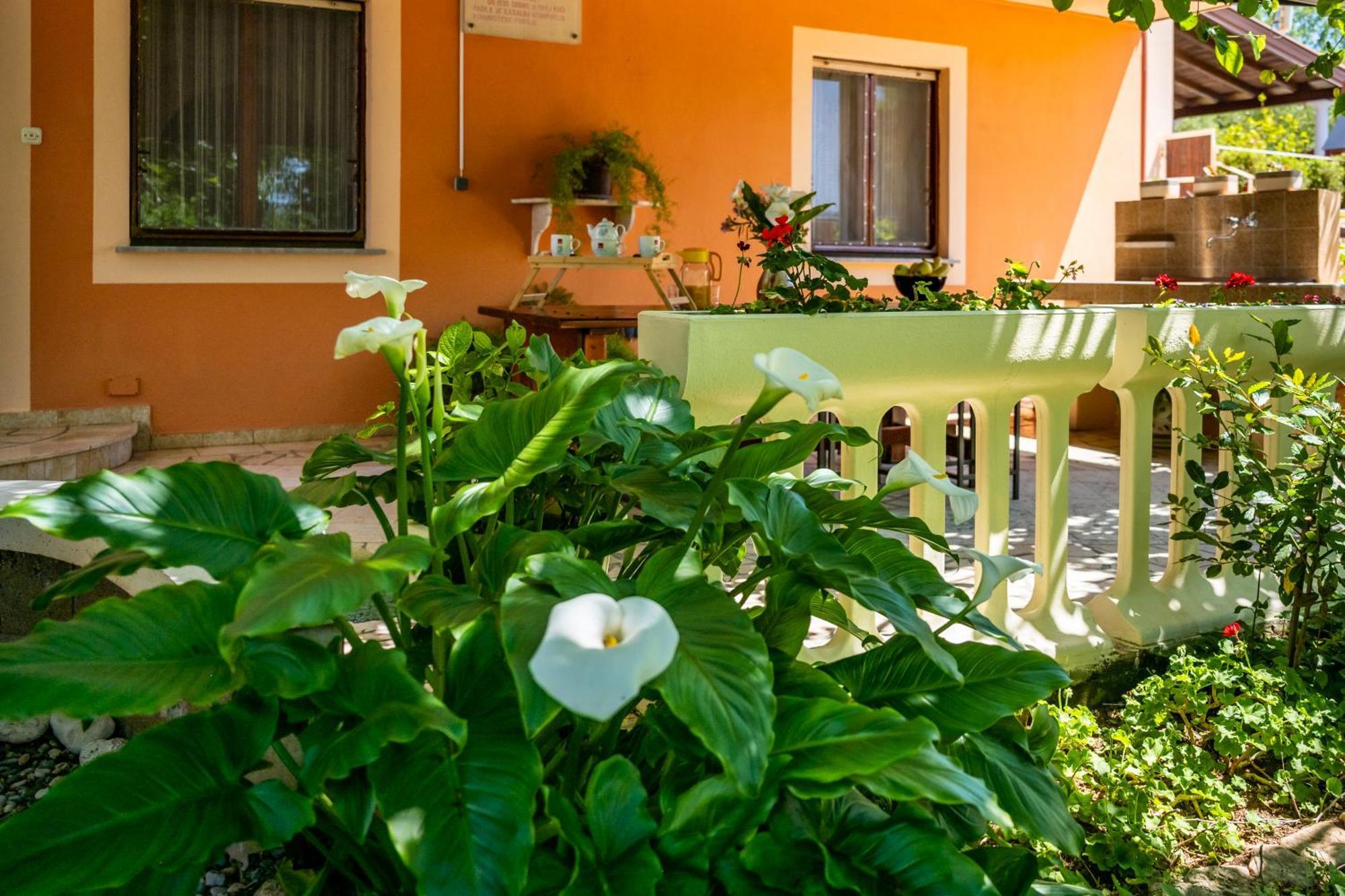 E-M Apartments With Private Pool Vinkuran Exterior photo